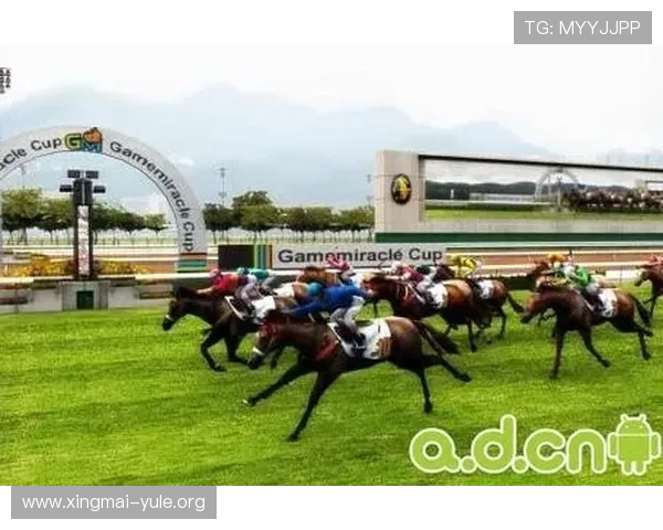 K8凯发网址娱乐平台安全可靠的在线博彩体验全面解析